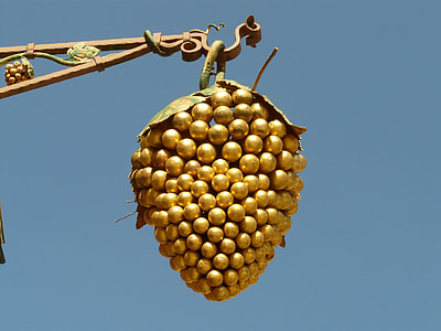 gold-colored grape fruit hanged on hook thumbnail