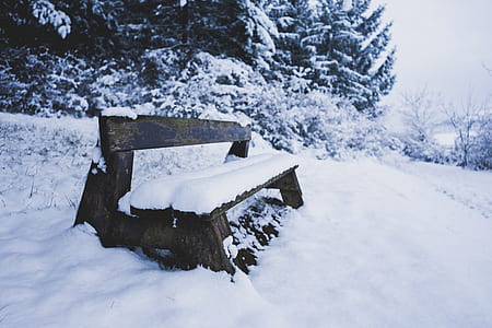 snow capped brown wooden bench thumbnail
