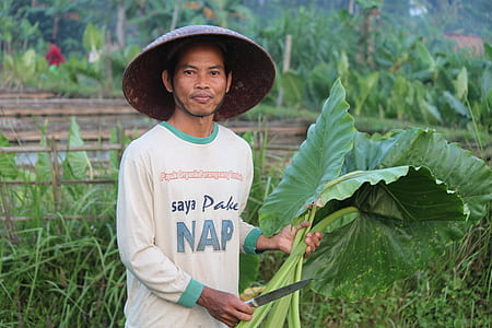 man holding silver knife and green leafed plant thumbnail