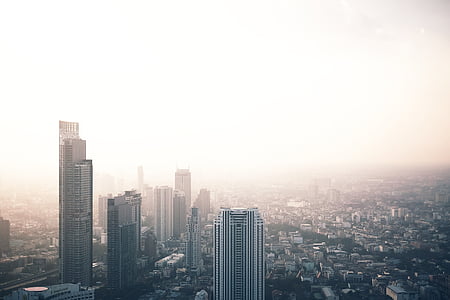 aerial photography of city buildings thumbnail