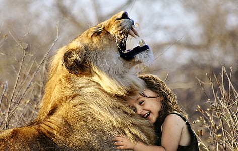 girl embracing lion thumbnail
