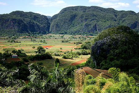 mountains with trees thumbnail