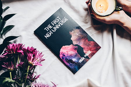 The First New Universe book thumbnail