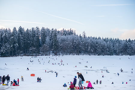 people on snow field during daytime thumbnail