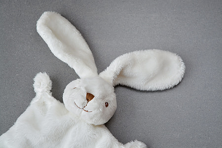 closeup photography of white rabbit plush toy thumbnail