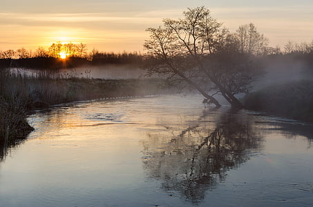 tree on water beside riverbank at daytime thumbnail