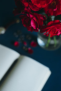 Lovely workplace with red roses thumbnail