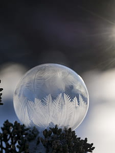 clear and white globe illustration thumbnail