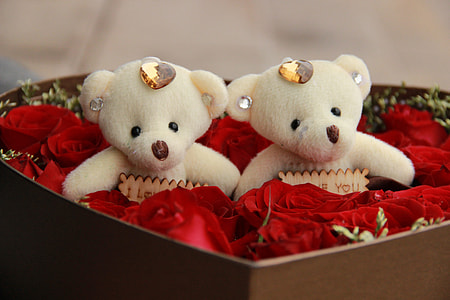 two white teddy bear plush toys thumbnail