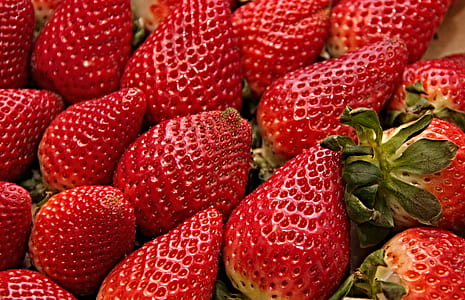 focused photo of strawberry thumbnail