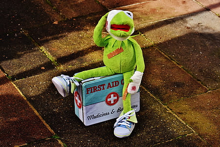 Sesame Street Kermit the frog thumbnail