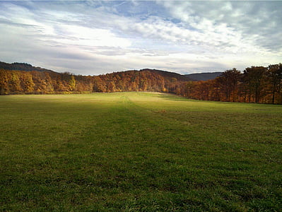 green grass and brown trees under white clouds and blue sky during daytime thumbnail