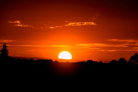 silhouette of trees and hill during golden hour thumbnail