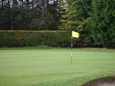 golf pole with flag on green grass near trees thumbnail