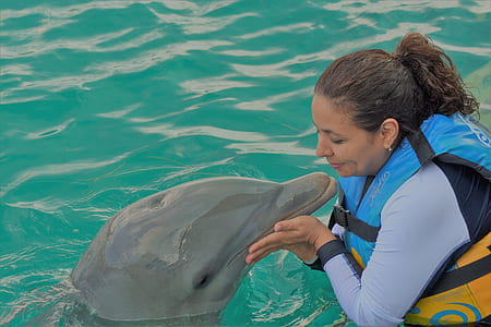 woman holding dolphin's snout during daytime thumbnail