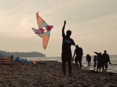 man playing kite on seashore thumbnail