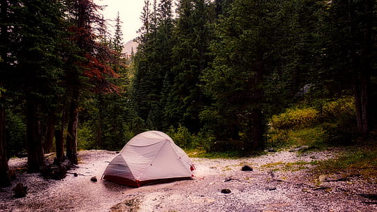 white dome tent beside green leaf trees at daytime thumbnail