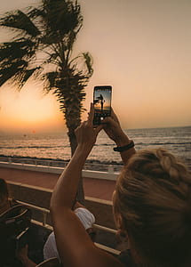 woman taking a picture of palm tree thumbnail