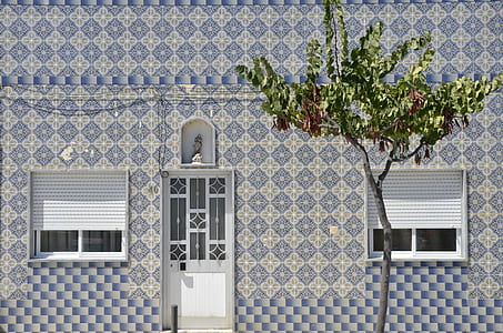 green tree in front window thumbnail