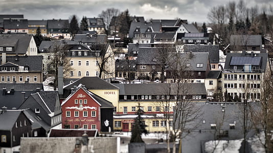 concrete buildings near black trees thumbnail