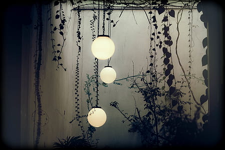 three round pendant lamps hanged under roof with silhouette of vines thumbnail