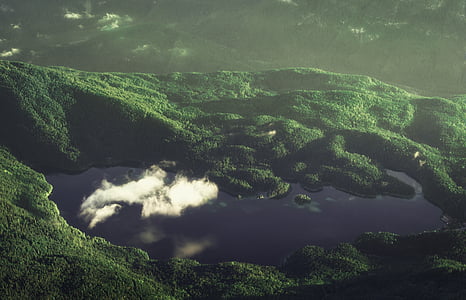 top-view of mountain covered with trees thumbnail