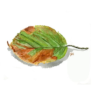 green and brown leaf painting screengrab thumbnail