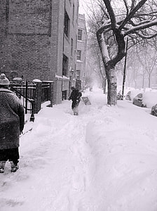 person standing on snow near tree thumbnail