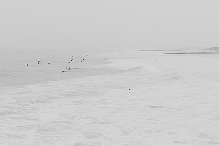 sea waves with flying birds during daytime thumbnail