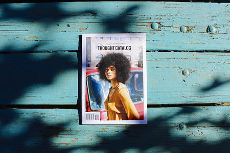 Thought Catalog book on board thumbnail
