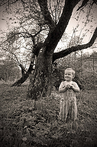 grayscale photography of boy standing nearby tree thumbnail