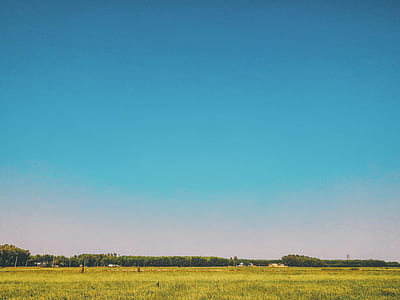 Grass Field Under Blue Sky at Daytime thumbnail