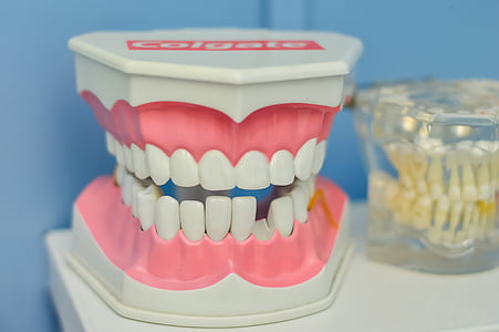 white and pink Colgate gum figurine thumbnail