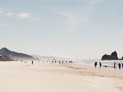 people walking on the seashore thumbnail