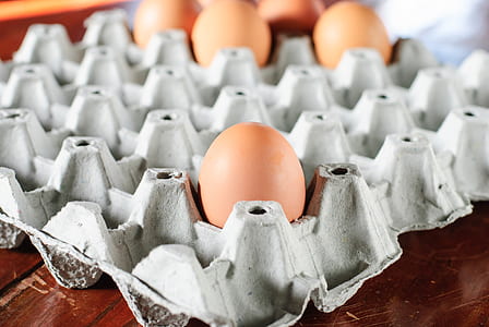 selective focus photo of brown eggs in gray egg tray thumbnail