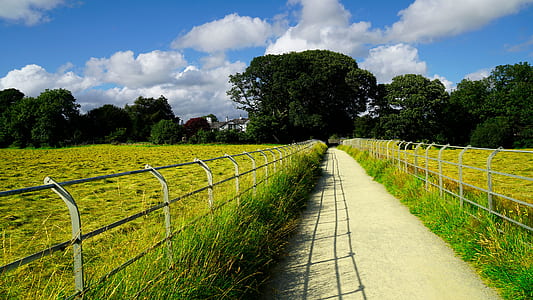 landscape, nature, clouds, field thumbnail