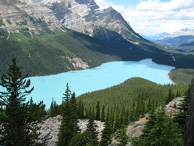 lake surrounded by trees during daytime thumbnail