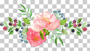 Watercolor flowers, pink petaled flower PNG clipart