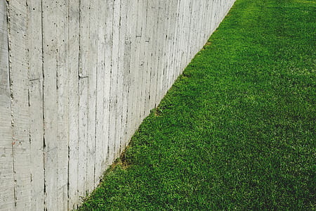 wood, landscape, nature, pattern thumbnail