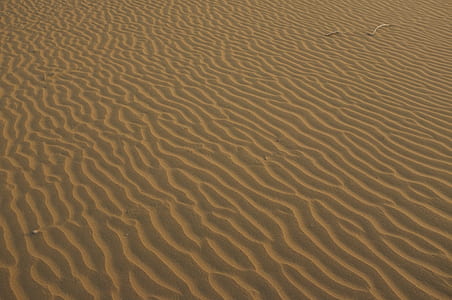 rippling desert taken during daytime thumbnail