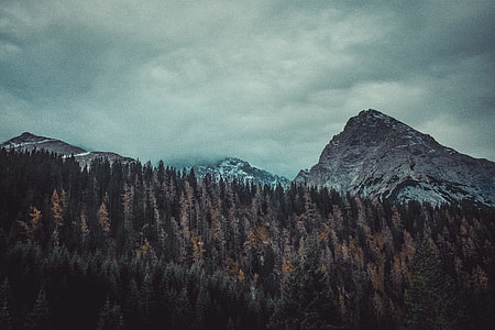 green and brown trees near brown mountain thumbnail
