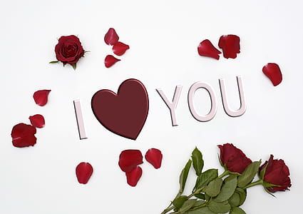 red rose with i love you text overlay thumbnail