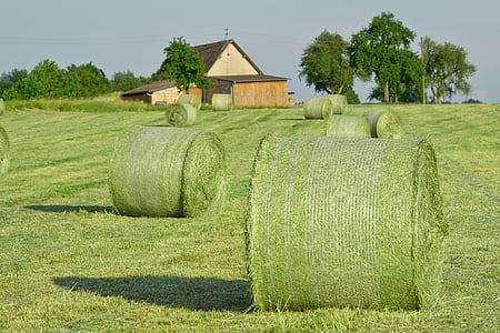 green round bales thumbnail