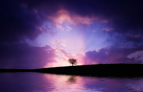 landscape photography of body of water thumbnail