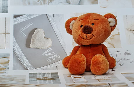 brown bear plush toy on photos thumbnail