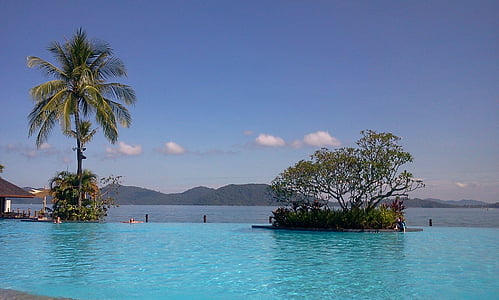 green leafed tree near body of water thumbnail