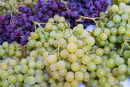 green and purple grapes thumbnail