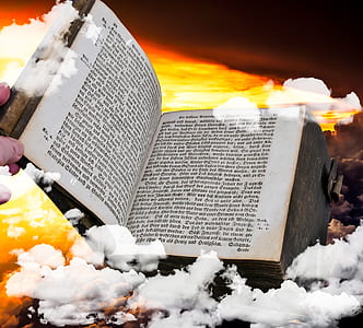 person holding white book thumbnail