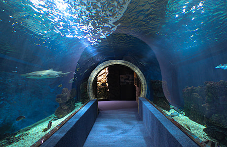 Nyíregyháza Zoo Aquarium in Hungary thumbnail