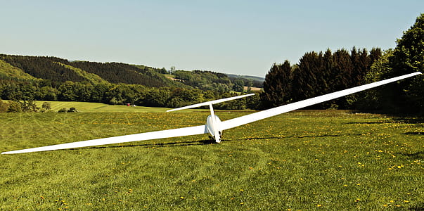 white plane landing on green grass thumbnail